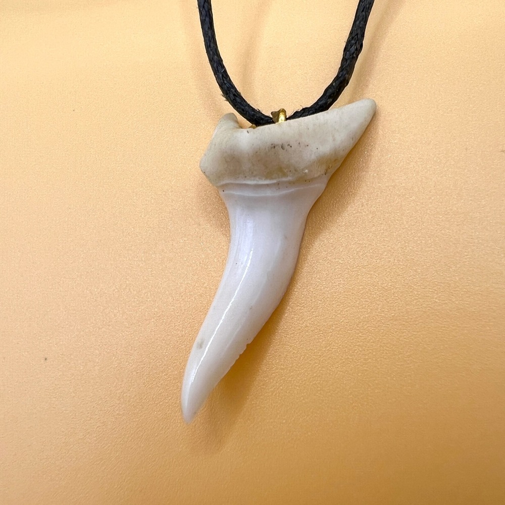 Shark Tooth Pendant Necklace Black Waxed Cord Beach Surfer Style White Fossil